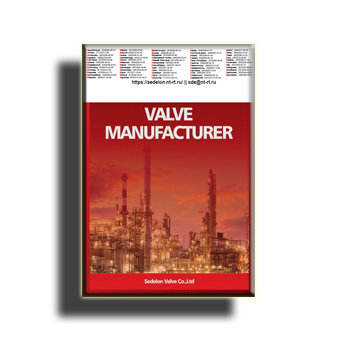 Presentation (eng) supplier SEDELON